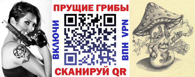 Галлюциногенные грибы мицелий  Голицыно 
